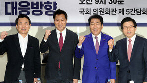 김병준 이어 김무성도 ‘全大 링’ 오르나