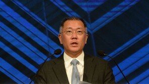 정의선, 수소위원회 공동회장 취임…“수소경제 범국가적 협력 필요”