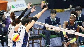 [스토리 발리볼] 현대건설 마야의 성공스토리 속에 담긴 교훈들