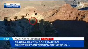워마드, 그랜드캐년 추락 청년 조롱 “남자기 집에서 밥이나 하지”