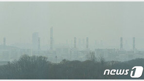 미세먼지 심한 날은 고급연료 사용…석탄발전 등 51개 공장