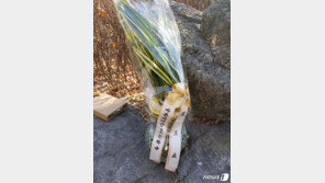 손학규 대표, 67번째 생일 文대통령에 축하 난 전달