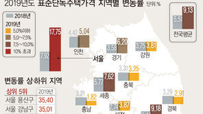 표준단독주택 공시가격 역대 최대…용산 35.4%·강남 35.01%↑