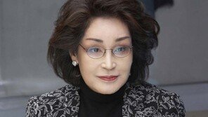 이명희 회장 단독주택 1년새 100억 ‘껑충’…270억 가장 비싼집