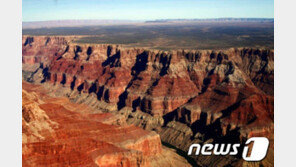 ‘그랜드캐니언 추락 사고’ 동아대, 의대교수 현지 파견