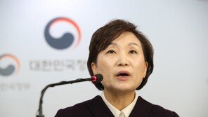 2019 표준단독주택 공시가격, 키워드는 ‘조세 형평성’…집값잡기에 ‘방점’