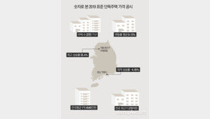 전국 22만 단독주택 공시가격 9.13% 상승… 용산·강남·마포 등 세부담↑