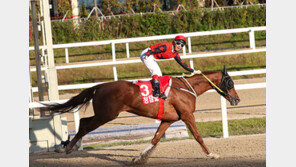 마사회, 한국 경주마 국제무대 능력 평가한 ‘레이팅 순위’ 공개