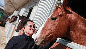 정호익 조교사 400승 달성