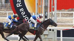 마스크 vs 천지스톰…단거리 최강 국산마는?