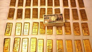 금괴 밀수 구역된 국내 공항…총책 윤씨 집에서는 현금 120억 ‘우수수’