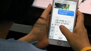 [단독] 손혜원, 국회 상임위중 수천 만원대 자개장 거래 중개 의혹
