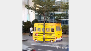 [고양이 눈]쉼터