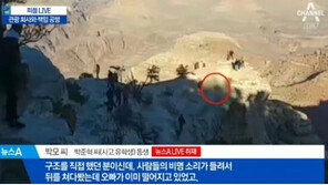 LA 총영사관 “그랜드캐년 추락 학생 가족, 정부 돈 받고 싶다 한 적 없어”