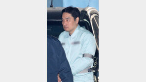 법원, ‘도도맘 사문서 위조’ 혐의 강용석 보석 청구 기각…구속 유지