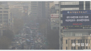 “마침내 미세먼지가 온 세상을 뒤덮었다”…30년 뒤에도 소풍갈 수 있을까?
