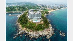 “송혜교 박보검이 거닐던 그곳”, 속초 외옹치 기차여행 출시