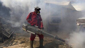 인니, 자카르타 뎅기열 환자 비상…2주만에 4배 급증