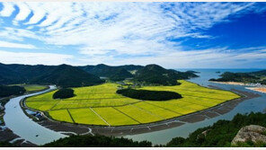 먹거리 넘어 자연보호까지… 전남, ‘친환경 1번지로’ 우뚝