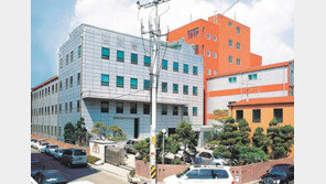 브랜드 이미지 구축에 주력… 사업 다각화 전략 눈길