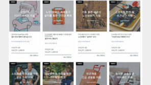 소비-사회공헌 동시에… 온라인 ‘공익 쇼핑몰’ 시범 운영