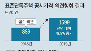 “같은 洞서도 80%서 10%까지… 고무줄 공시가격 어떻게 믿나”