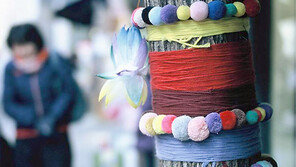 [고양이 눈]나무옷