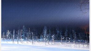 칠흑같은 어둠 지나면 찰칵찰칵… 아, 여기가 ‘청의 호수’구나