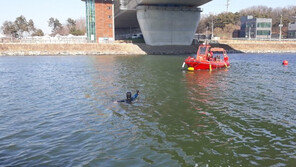 인천 교량서 투신한 20대 남성 숨진 채 발견