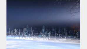 [청계천 옆 사진관]사진기자가 소개하는 ‘인생 샷’ 포인트