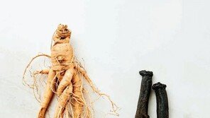 면역력 증진, 항산화 효과 높인 삼농인발효홍삼