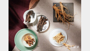 “몸에 좋은 삼(蔘), 종류에 따라 다른 효능 차이 알고 드세요”