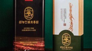 ‘엄마에서 사장님으로’ 소자본 1인 창업 브랜드 앰버서더 모집