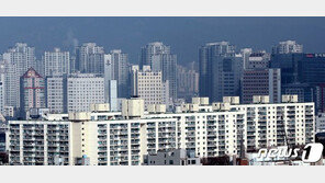 30억대 초고가주택 공시가격 불만…‘인상’고수 유지한 정부