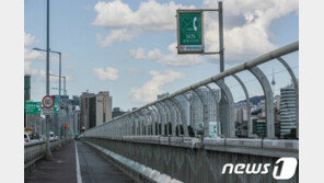 경찰, 한강 투신한 캐나다인 발빠른 대처로 극적 구조