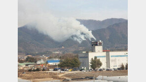 강원 춘천서 산불 2㏊ 소실