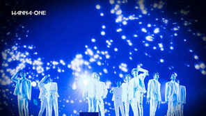 아듀, 워너원…너희를 기억할게