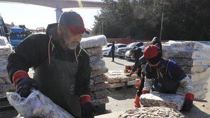 서해 바다에서 잡은 조기 하역 작업