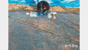 진주서 발견한 세계 최대급 ‘공룡 발자국 화석지’ 사라지나