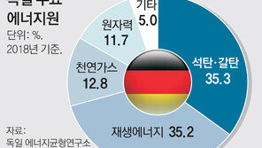 獨 “2038년까지 석탄발전 완전중단”, 원전 퇴출 겹쳐 에너지수급 차질 우려