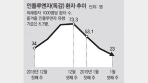 “설연휴때 日여행, 독감 조심하세요”