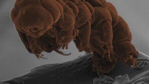 심해나 빙하 밑에서도 생존하는 ‘극한생물’ 속속 발견