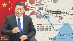 中 ‘일대일로’ 확장, 말레이시아서 덜컹