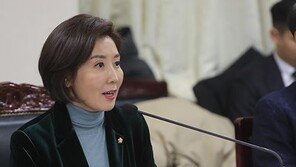 초계기 갈등, 나경원 “한·일 치킨게임 양상”…송영길 “羅, 늘 일본편”