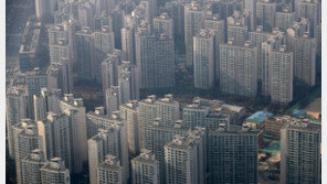 한국 부자 절반 “서울 집값은 유지될 것…부동산 안 팔아”