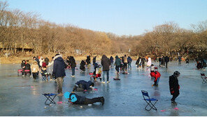 한국민속촌, 빙어낚시 축제 덕분에 전체 방문객 대폭 늘어