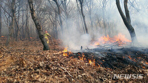부산 기장 산불 확산 중…소방당국 “산 2000평 태우고, 정상쪽으로 ”
