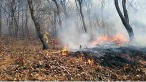 부산 기장 산불도 인재(人災) … 소방당국 “농막서 쓰레기 태우다…”