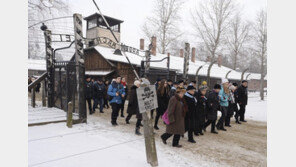 잊혀지는 홀로코스트…추모식장서 ‘반유대’ 극우집회 열려