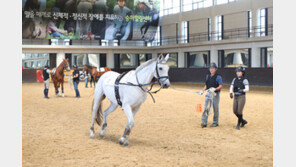 말 조련 전문인력 양성과정 교육생 모집
